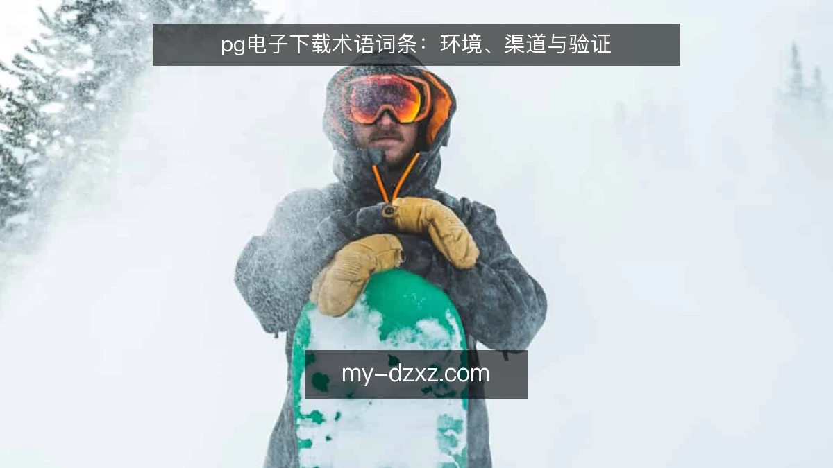 pg电子下载术语词条:环境、渠道与验证